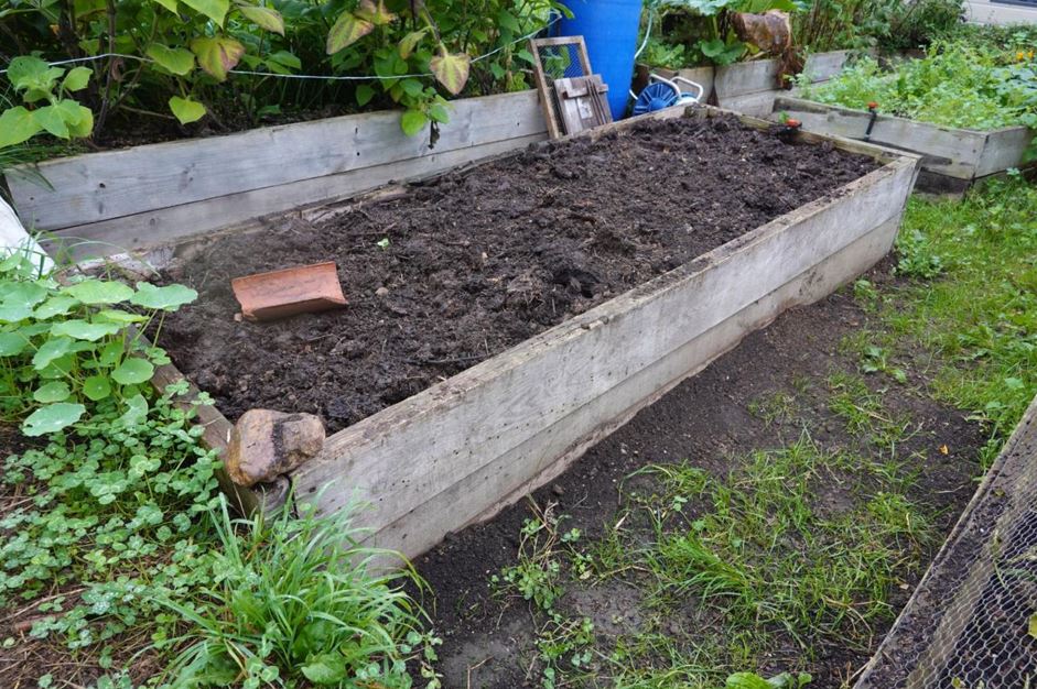 Small Backyard Makeover Ideas